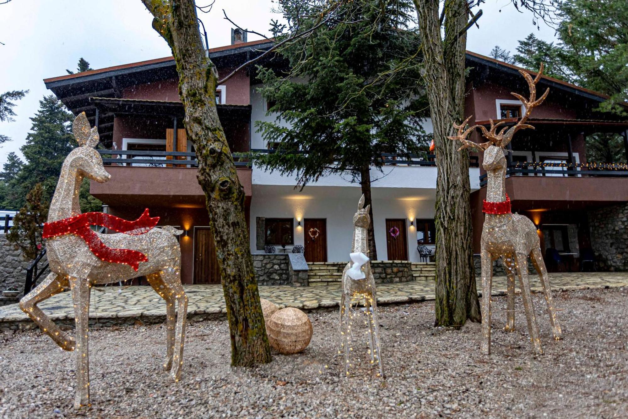 Mz Reindeer Hotel Kalivia  Luaran gambar