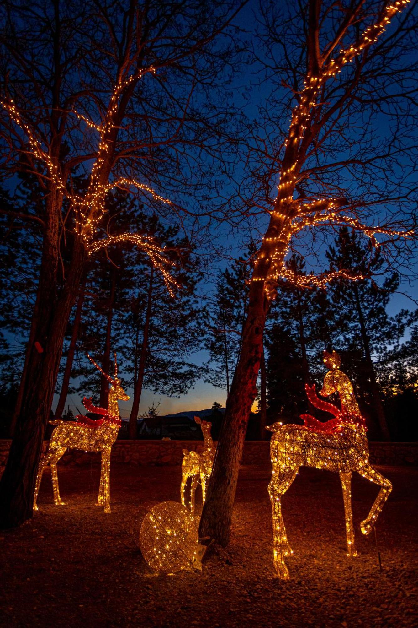 Mz Reindeer Hotel Kalivia  Luaran gambar